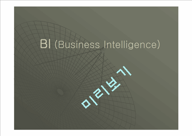 BI (Business Intelligence)   (1 )